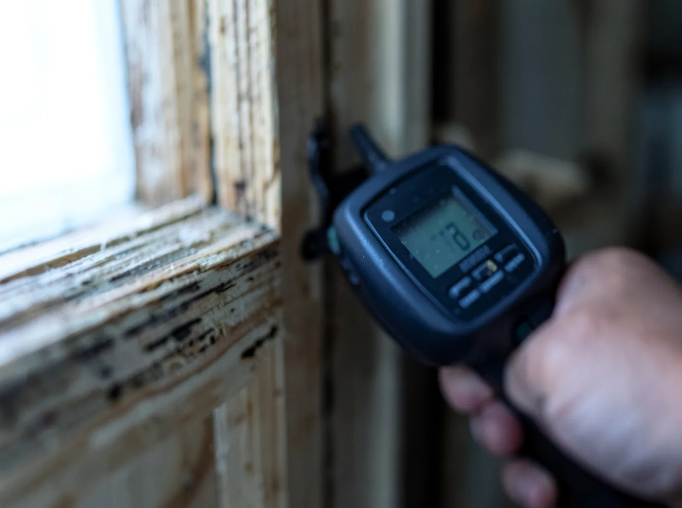 Water Damage Restoration Eastport, ID FAQs
